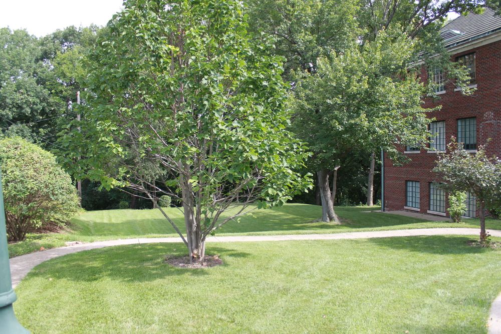 Woodridge Professional Building: 2619 W Heading Ave, West Peoria, IL 61604